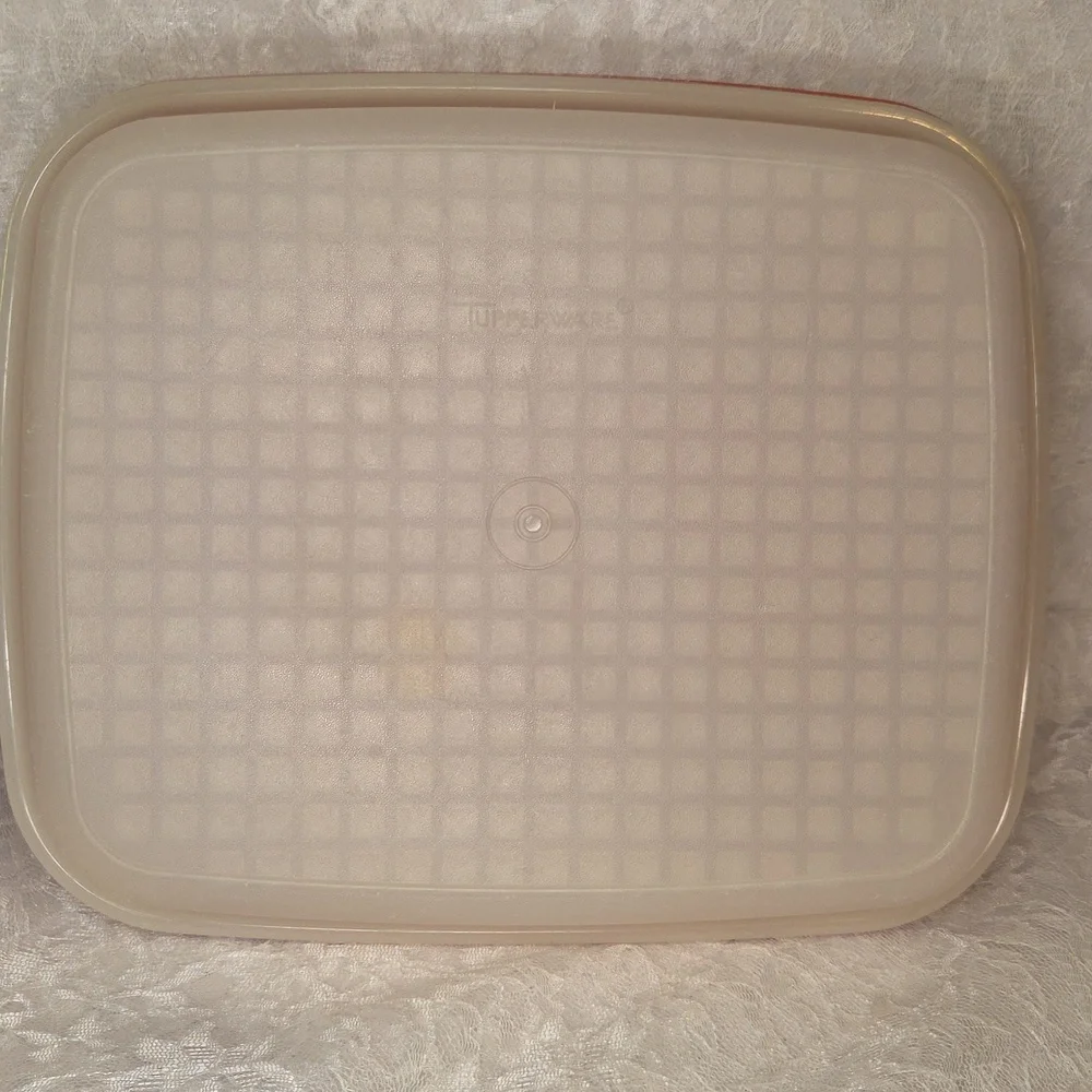 Tupperware: Marinade Container - Picture 5 of 13